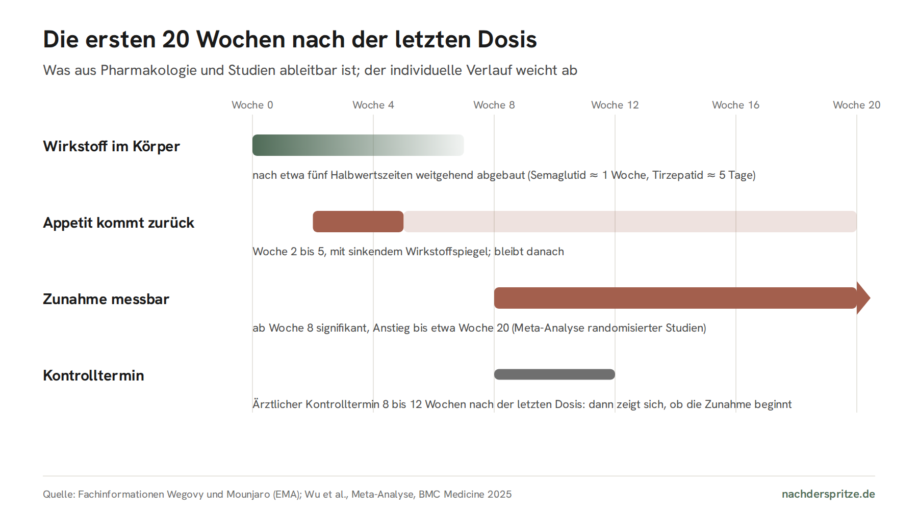 Zeitachse über 20 Wochen nach der letzten Dosis einer Abnehmspritze: Der Wirkstoff ist nach etwa fünf bis sieben Wochen weitgehend abgebaut, der Appetit kehrt ab Woche 2 bis 5 zurück, die Gewichtszunahme ist ab Woche 8 messbar und steigt bis etwa Woche 20. Ein Kontrolltermin 8 bis 12 Wochen nach der letzten Dosis ist markiert.